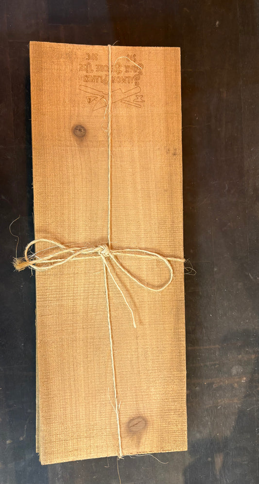 Salmon Planks